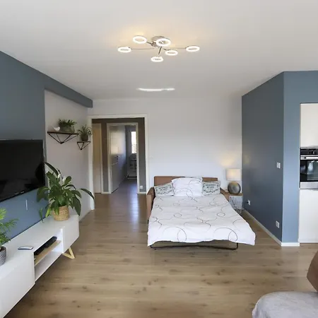 Apartment Azur Bleu 4 Etoiles Centre-ville Et Lumineux Annecy